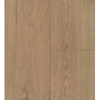 privilege-muson-453x500