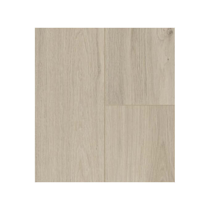 privilege-samyeli-453x500