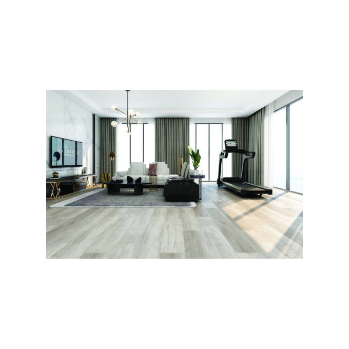 voilaplus_whimsy-925l-6_rs-500x329